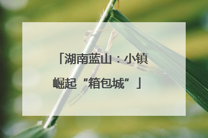 湖南蓝山：小镇崛起“箱包城”