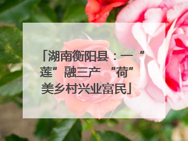 湖南衡阳县：一“莲”融三产 “荷”美乡村兴业富民