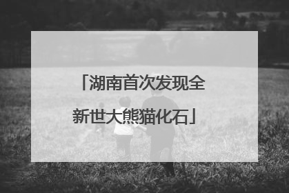 湖南首次发现全新世大熊猫化石