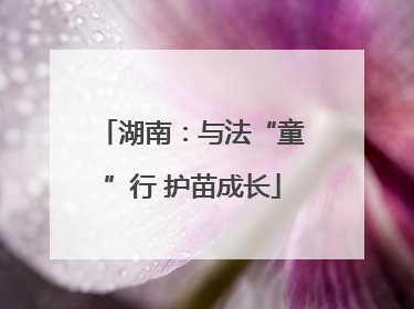 湖南：与法“童”行 护苗成长