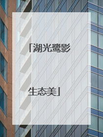 湖光鹭影生态美