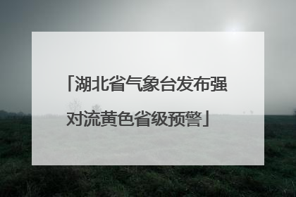 湖北省气象台发布强对流黄色省级预警