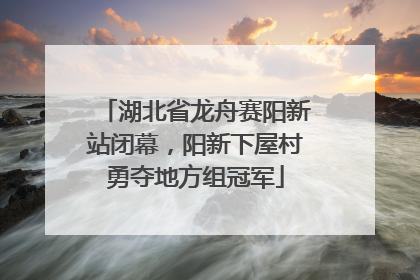 湖北省龙舟赛阳新站闭幕，阳新下屋村勇夺地方组冠军