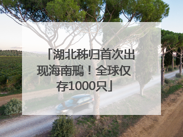 湖北秭归首次出现海南鳽！全球仅存1000只