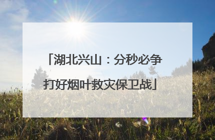 湖北兴山：分秒必争 打好烟叶救灾保卫战
