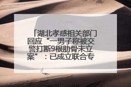湖北孝感相关部门回应“一男子称被交警打断9根肋骨未立案”：已成立联合专班开展工作