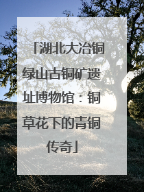 湖北大冶铜绿山古铜矿遗址博物馆：铜草花下的青铜传奇