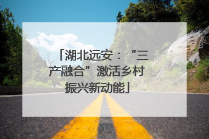 湖北远安：“三产融合”激活乡村振兴新动能