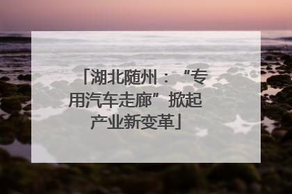 湖北随州：“专用汽车走廊”掀起产业新变革