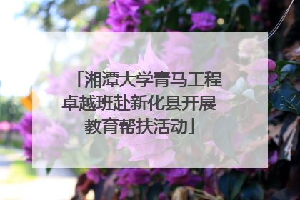 湘潭大学青马工程卓越班赴新化县开展教育帮扶活动