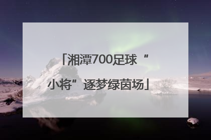 湘潭700足球“小将”逐梦绿茵场