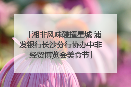 湘非风味碰撞星城 浦发银行长沙分行协办中非经贸博览会美食节
