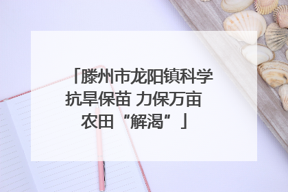滕州市龙阳镇科学抗旱保苗 力保万亩农田“解渴”