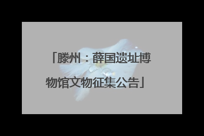 滕州：薛国遗址博物馆文物征集公告