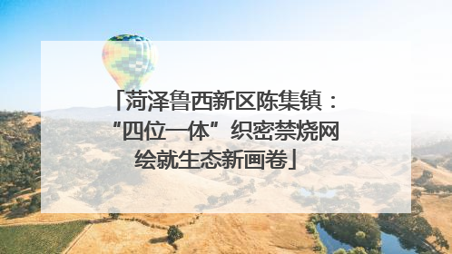 菏泽鲁西新区陈集镇：“四位一体”织密禁烧网 绘就生态新画卷