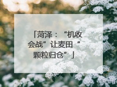 菏泽：“机收会战”让麦田“颗粒归仓”
