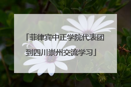 菲律宾中正学院代表团到四川崇州交流学习