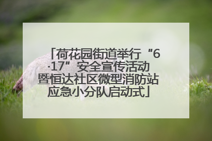 荷花园街道举行“6·17”安全宣传活动暨恒达社区微型消防站应急小分队启动式