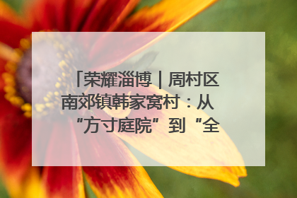 荣耀淄博｜周村区南郊镇韩家窝村：从“方寸庭院”到“全域文明”，乡村振兴的“美学革命”