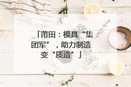 莆田：模具“集团军”，助力制造变“质造”