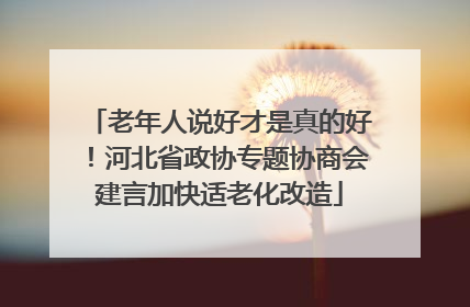 老年人说好才是真的好！河北省政协专题协商会建言加快适老化改造