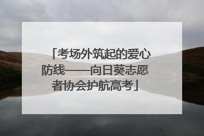 考场外筑起的爱心防线——向日葵志愿者协会护航高考
