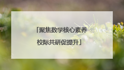 聚焦数学核心素养 校际共研促提升
