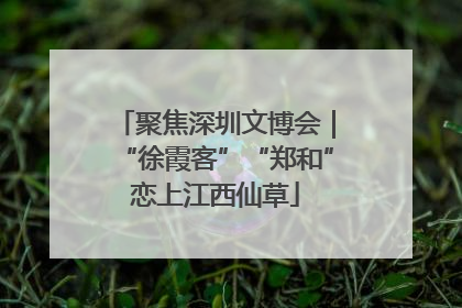 聚焦深圳文博会｜“徐霞客”“郑和”恋上江西仙草