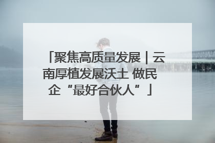 聚焦高质量发展｜云南厚植发展沃土 做民企“最好合伙人”