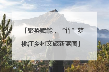 聚势赋能，“竹”梦桃江乡村文旅新蓝图