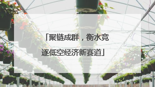 聚链成群，衡水竞逐低空经济新赛道