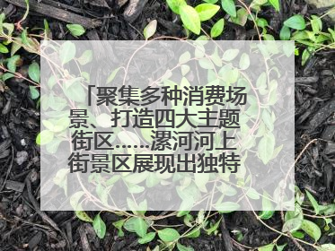 聚集多种消费场景、打造四大主题街区……漯河河上街景区展现出独特“夜”活力
