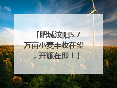 肥城汶阳5.7万亩小麦丰收在望，开镰在即！