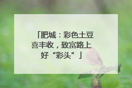 肥城：彩色土豆喜丰收，致富路上好“彩头”