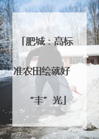 肥城：高标准农田绘就好“丰”光