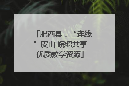 肥西县：“连线”皮山 皖疆共享优质教学资源