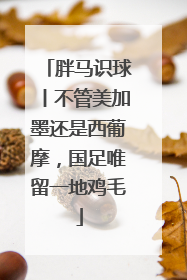胖马识球丨不管美加墨还是西葡摩，国足唯留一地鸡毛