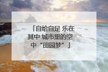 自给自足 乐在其中 城市里的空中“田园梦”