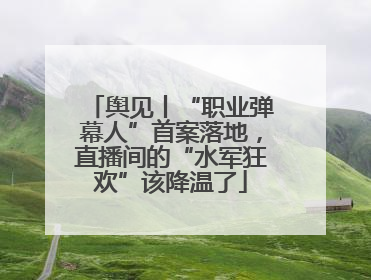 舆见丨“职业弹幕人”首案落地，直播间的“水军狂欢”该降温了