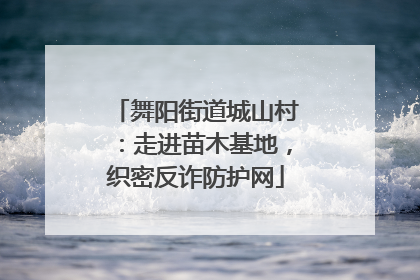 舞阳街道城山村：走进苗木基地，织密反诈防护网