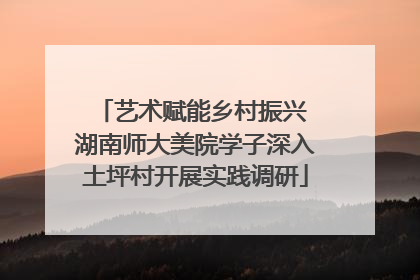艺术赋能乡村振兴 湖南师大美院学子深入土坪村开展实践调研