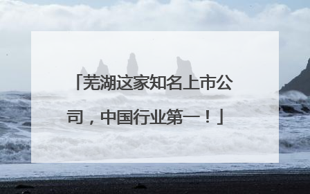 芜湖这家知名上市公司，中国行业第一！