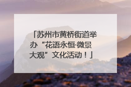 苏州市黄桥街道举办“花语永恒·微景大观”文化活动！
