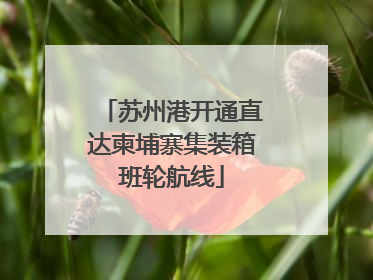 苏州港开通直达柬埔寨集装箱班轮航线