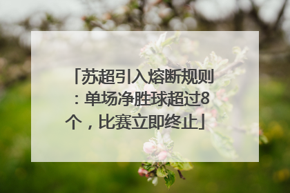 苏超引入熔断规则：单场净胜球超过8个，比赛立即终止