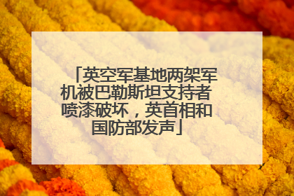 英空军基地两架军机被巴勒斯坦支持者喷漆破坏，英首相和国防部发声