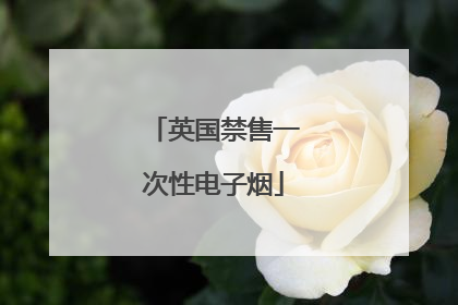 英国禁售一次性电子烟
