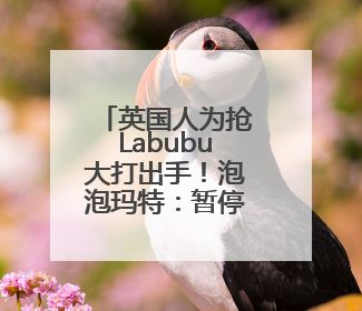 英国人为抢Labubu大打出手！泡泡玛特：暂停在英销售