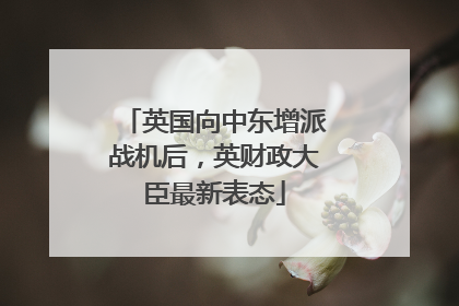 英国向中东增派战机后，英财政大臣最新表态