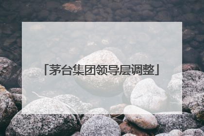茅台集团领导层调整